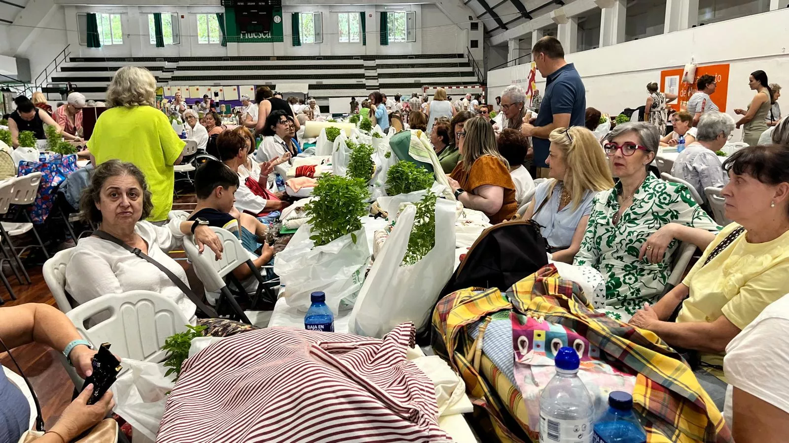Encuentro de Bolillos Osca en el pabellón de deportes del parque. Foto Mercedes Manterola