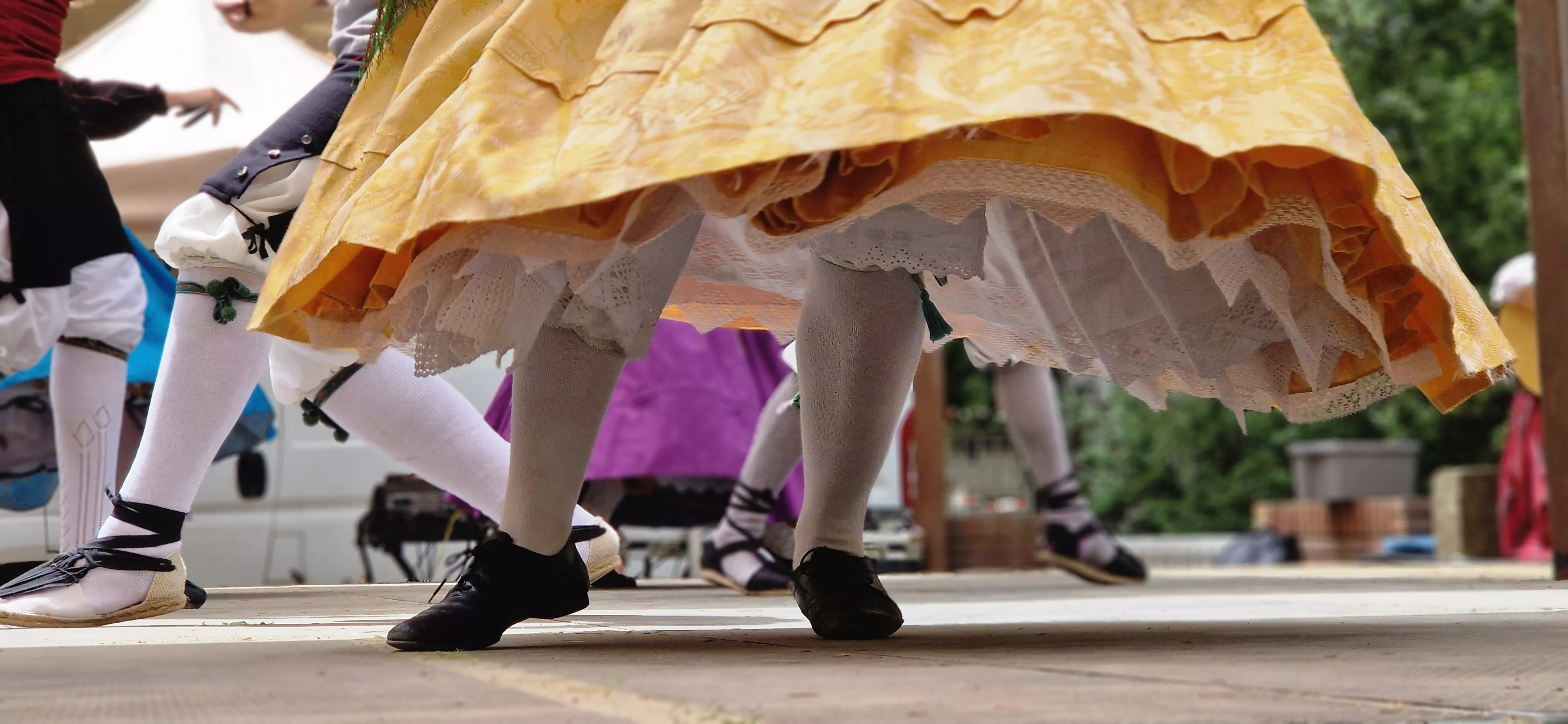 Estirpe de Aragonia. Foto Myriam Martínez 