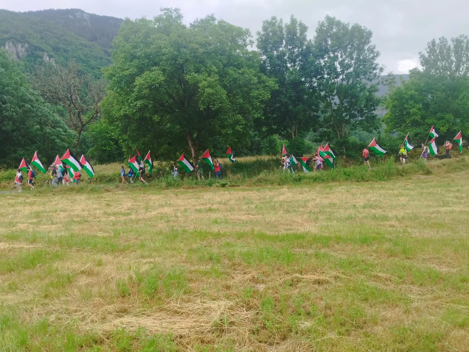 Marcha pro Palestina a Benasque.