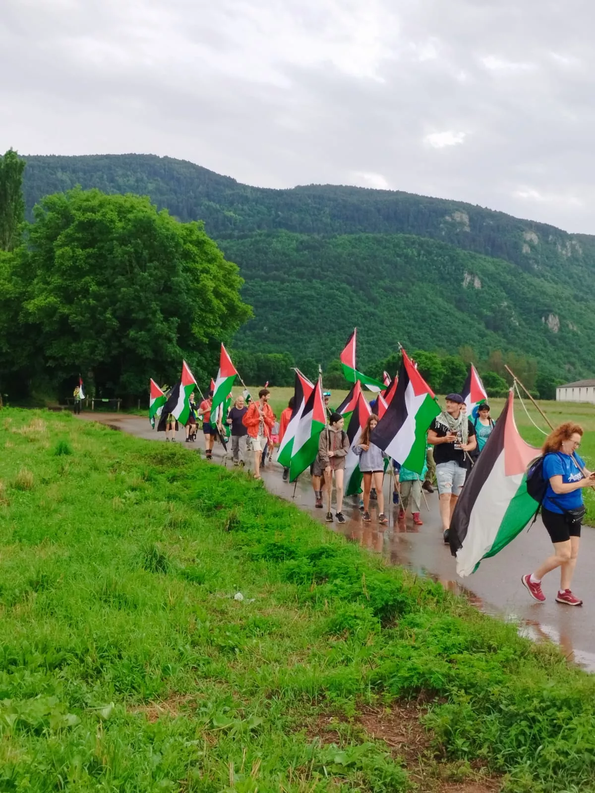 Marcha pro Palestina a Benasque.