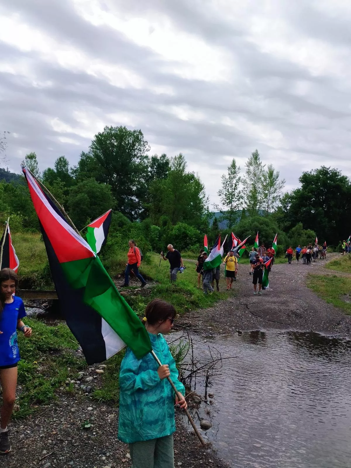 Marcha pro Palestina a Benasque.