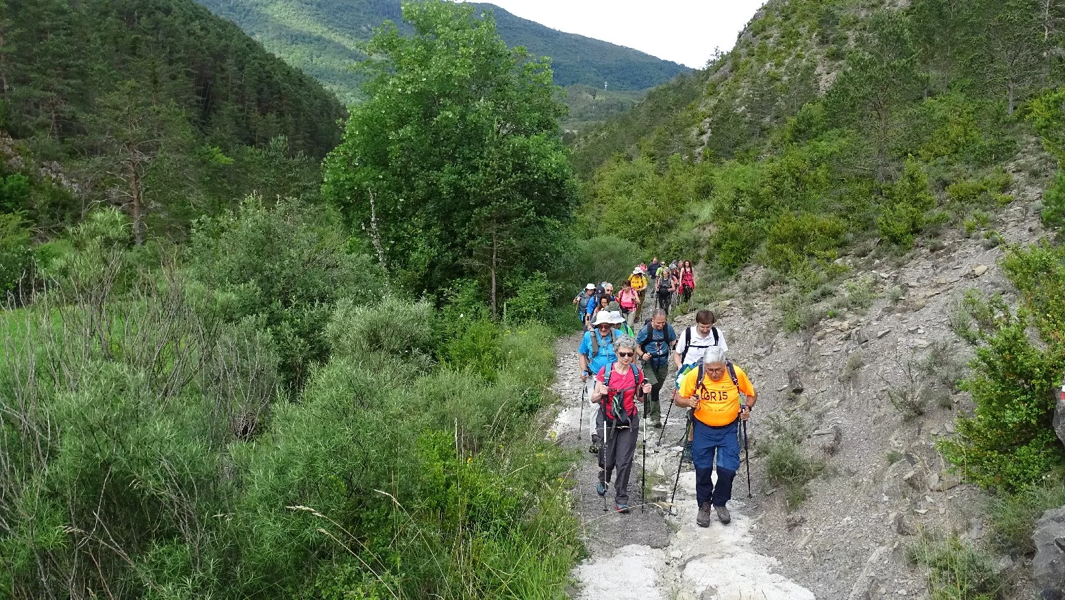 Por la GR 15. Foto Alfredo Zazo