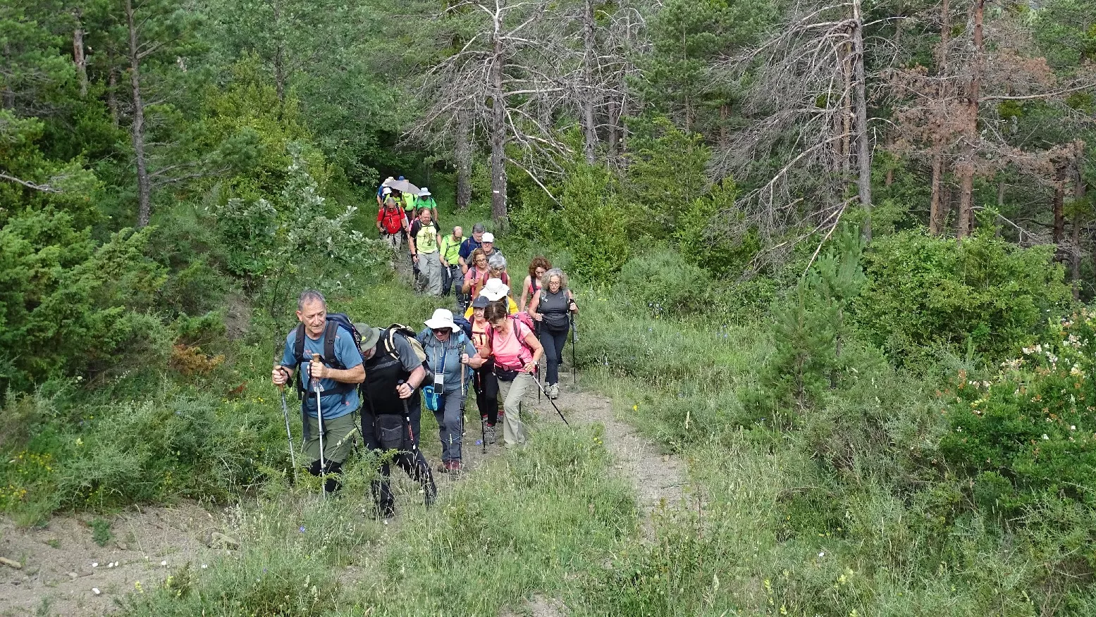 Por el bosque. Foto Alfredo Zazo