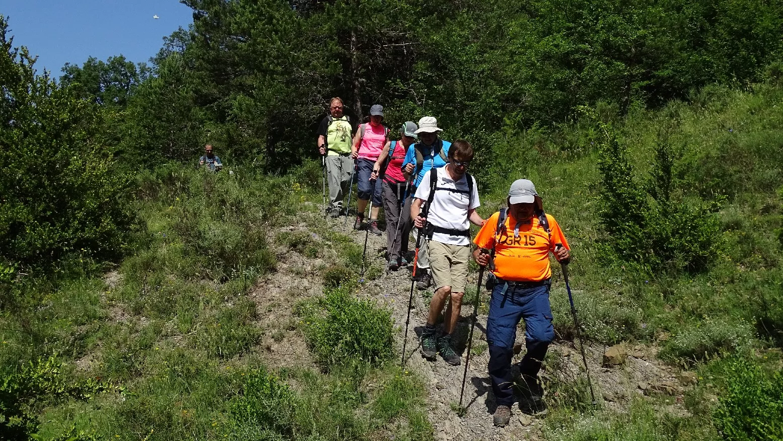Por el bosque. Foto Alfredo Zazo