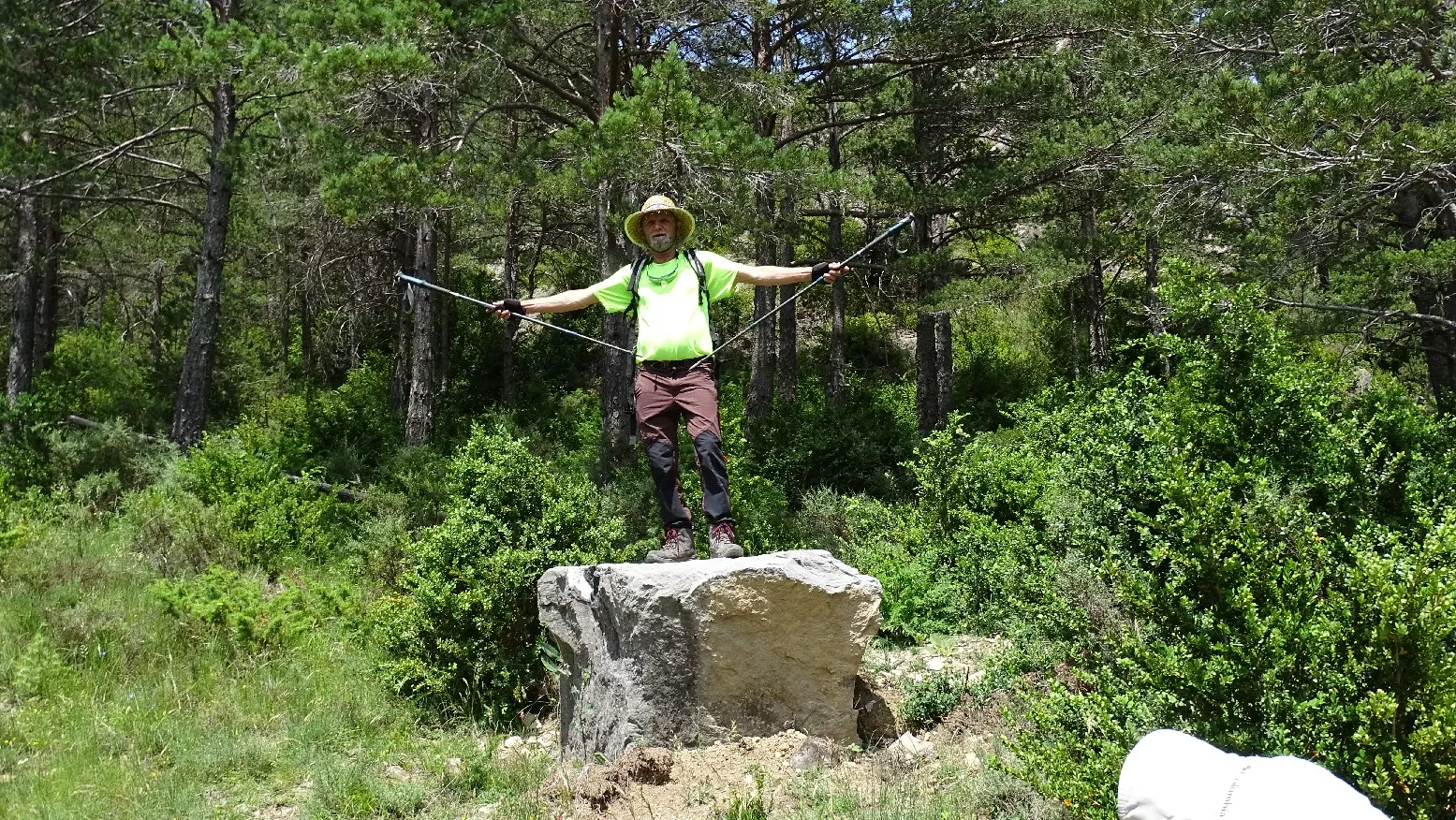 Esculturas a interpretar. Foto Alfredo Zazo