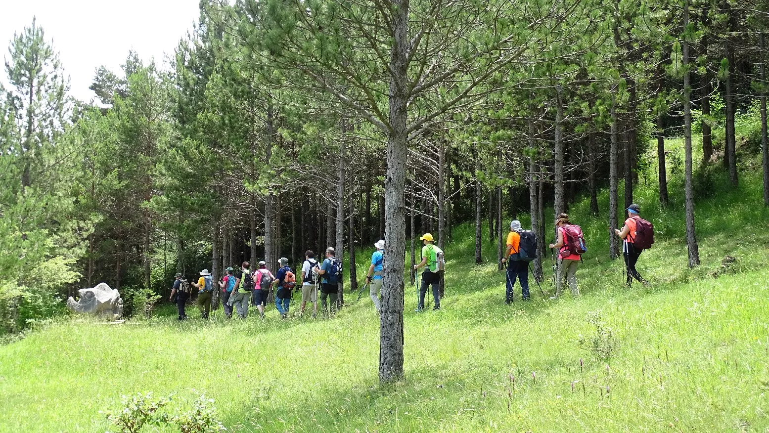 Esculturas a interpretar. Foto Alfredo Zazo