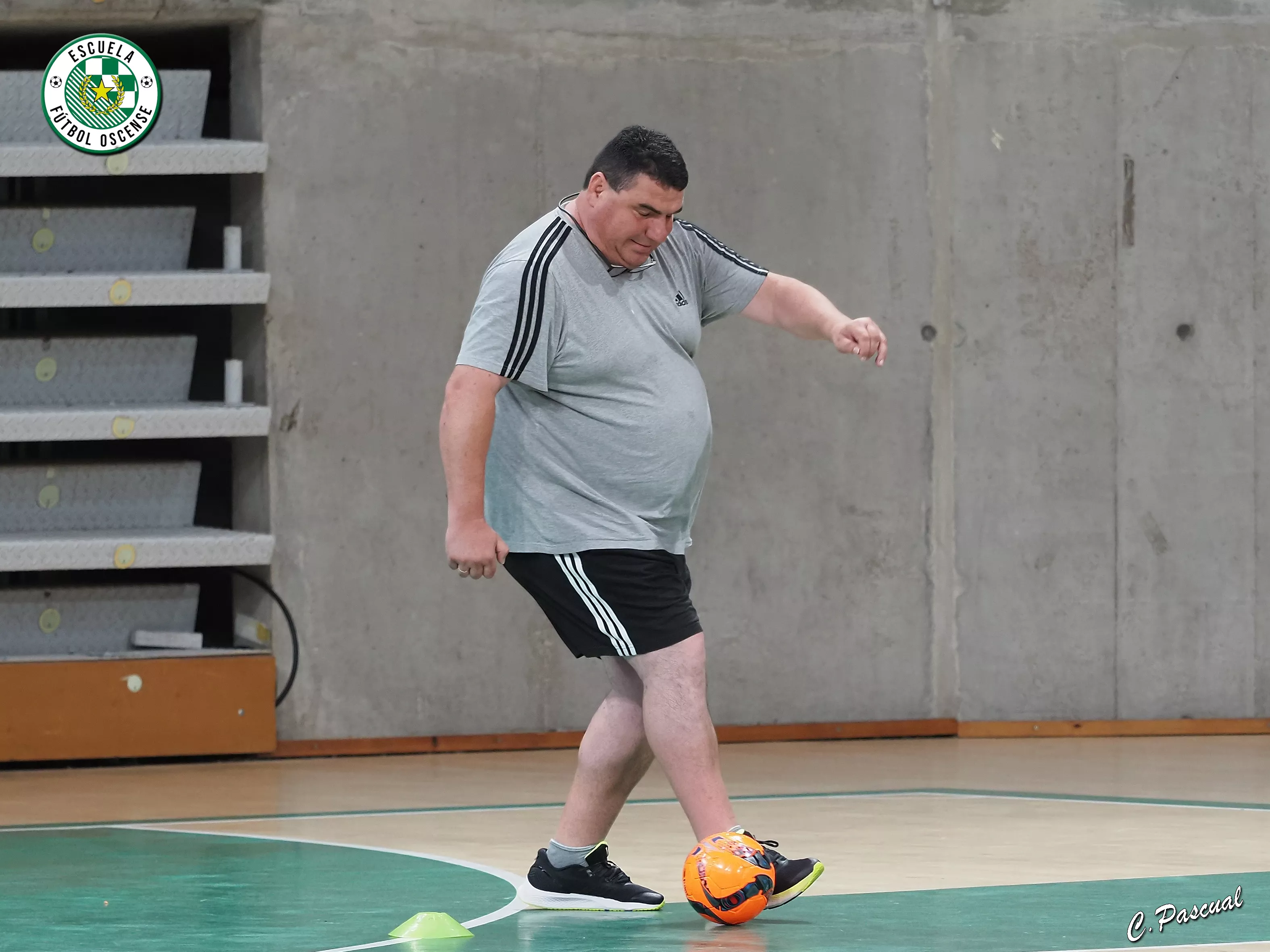 Imágenes de la fiesta de la EFO