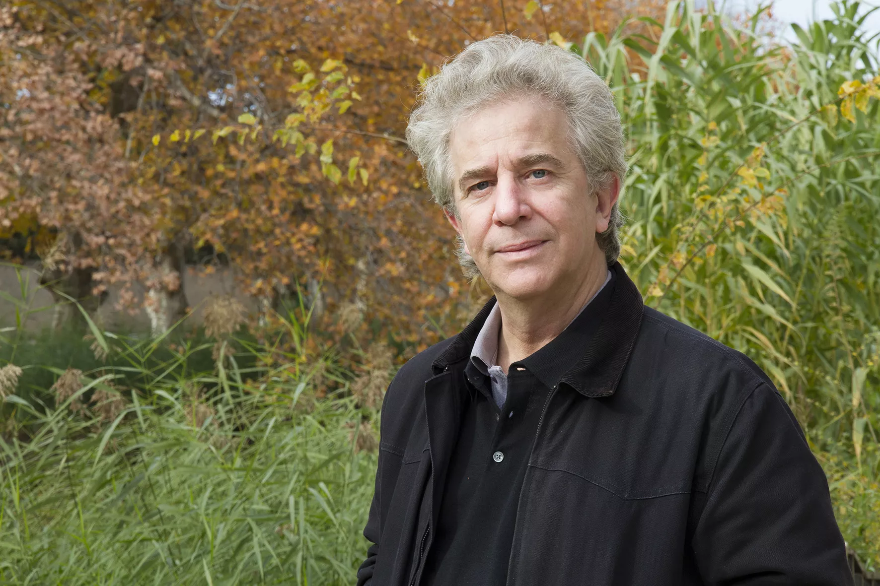 Domingo Moreno. Domingo Moreno.