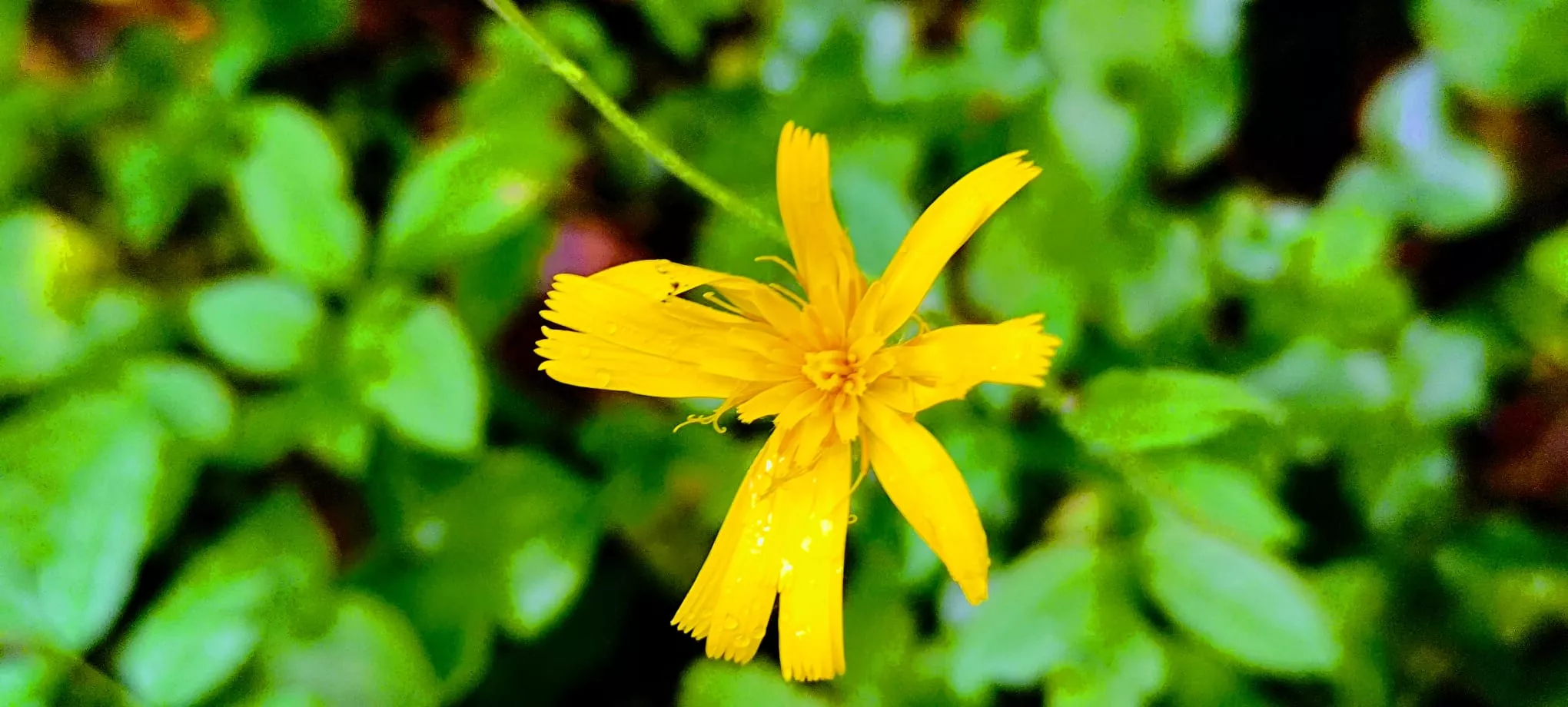 Salida de Panticosa a Búbal del programa Unizar +55. Foto Joaquín Santafé
