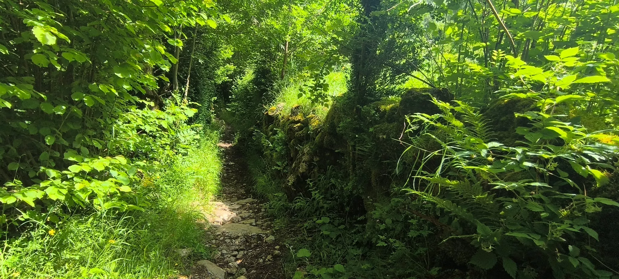 Salida de Panticosa a Búbal del programa Unizar +55. Foto Joaquín Santafé