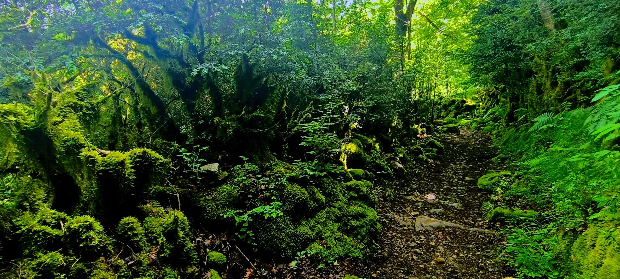 Salida de Panticosa a Búbal del programa Unizar +55. Foto Joaquín Santafé