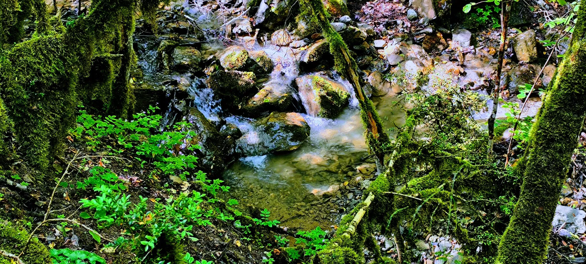 Salida de Panticosa a Búbal del programa Unizar +55. Foto Joaquín Santafé