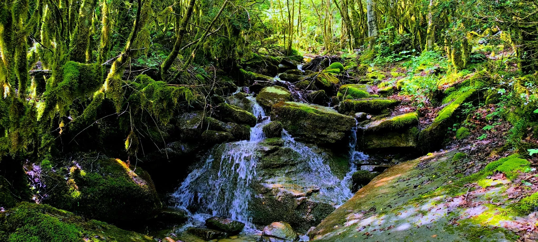 Salida de Panticosa a Búbal del programa Unizar +55. Foto Joaquín Santafé