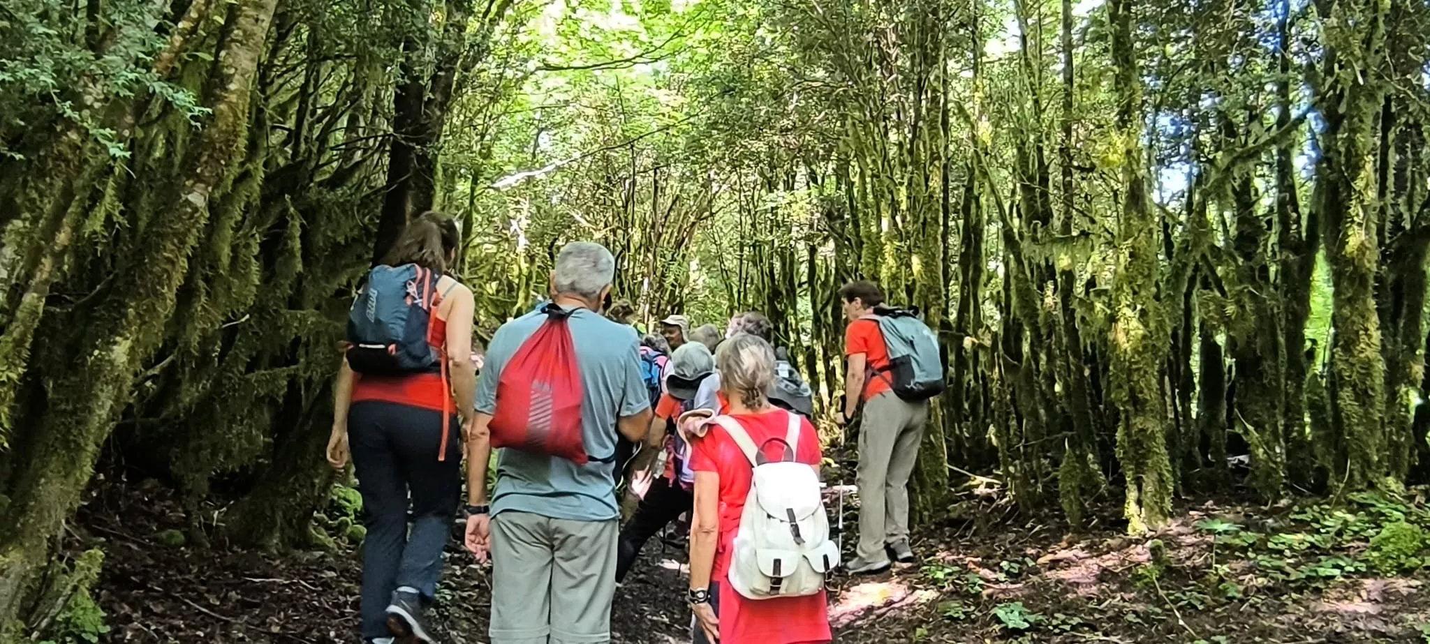Salida de Panticosa a Búbal del programa Unizar +55. Foto Joaquín Santafé