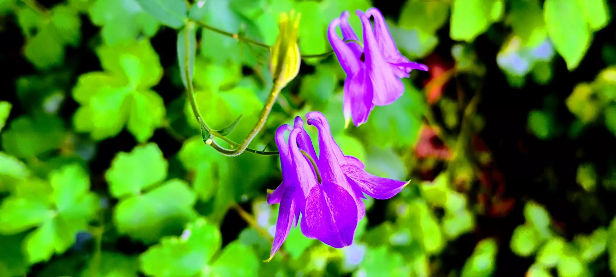 Salida de Panticosa a Búbal del programa Unizar +55. Foto Joaquín Santafé