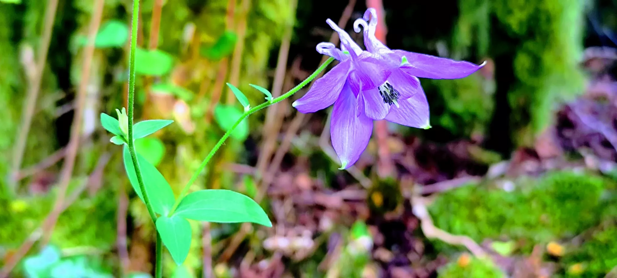 Salida de Panticosa a Búbal del programa Unizar +55. Foto Joaquín Santafé