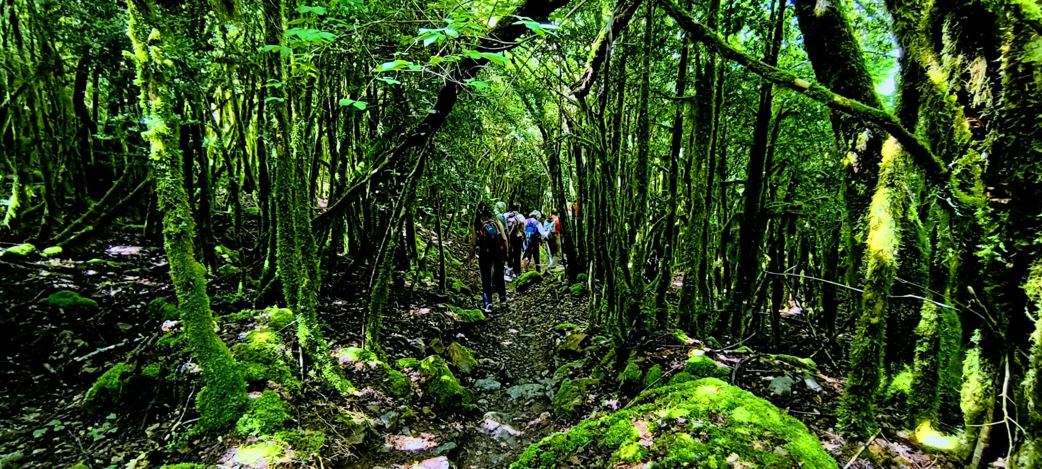 Salida de Panticosa a Búbal del programa Unizar +55. Foto Joaquín Santafé