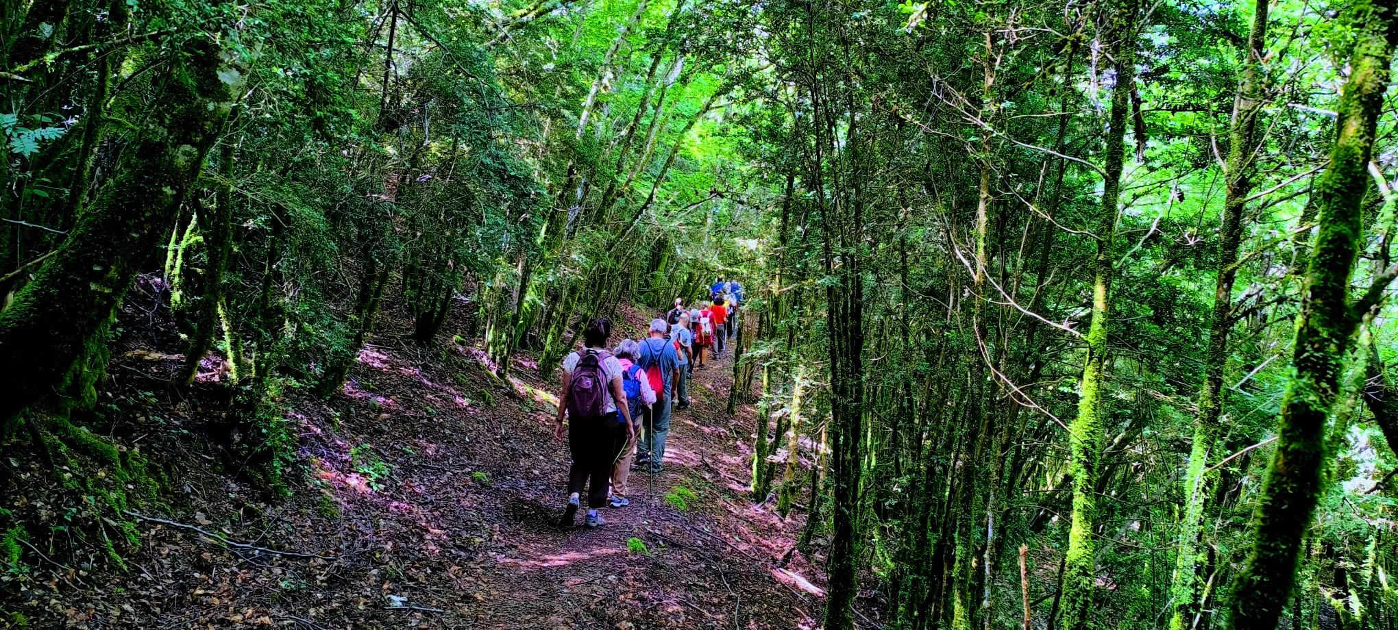 Salida de Panticosa a Búbal del programa Unizar +55. Foto Joaquín Santafé