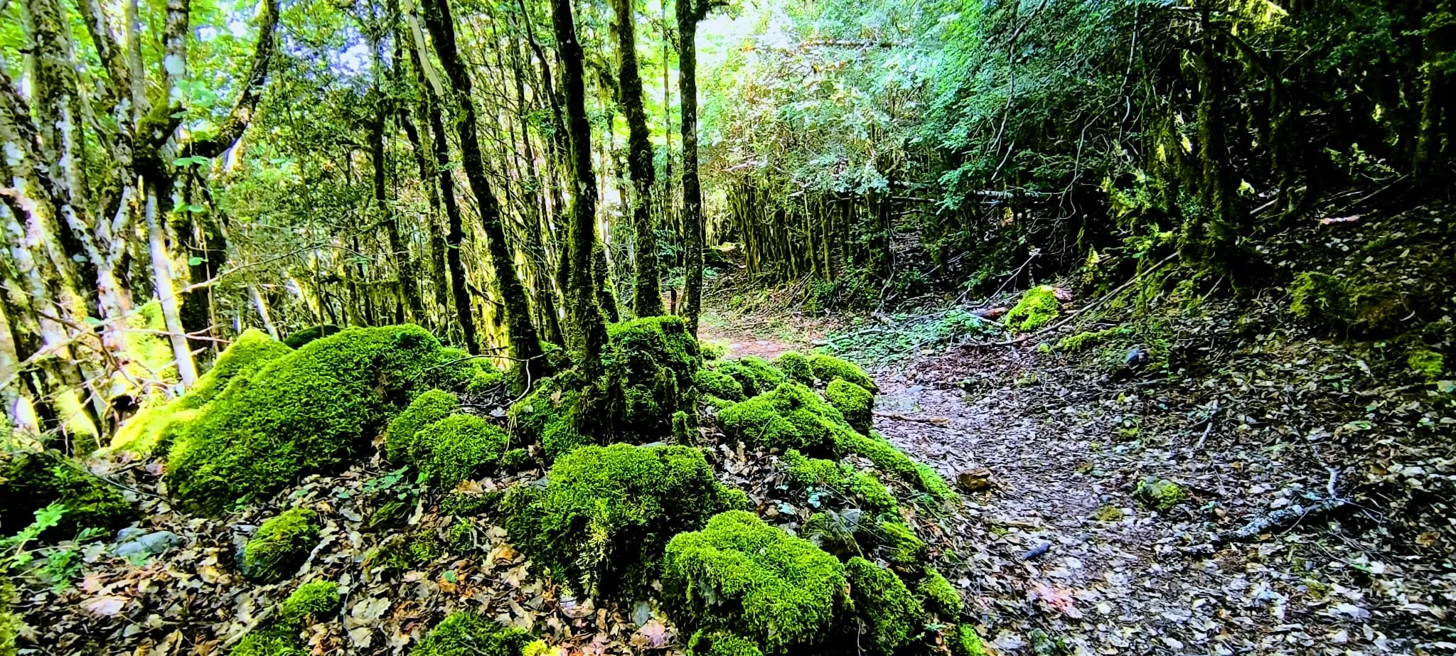 Salida de Panticosa a Búbal del programa Unizar +55. Foto Joaquín Santafé