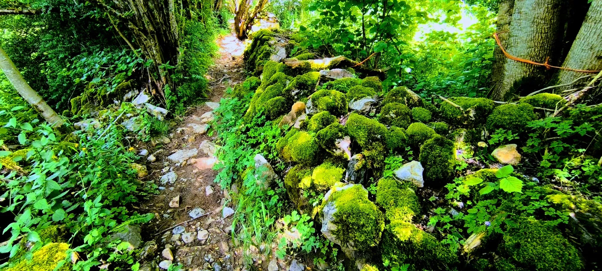 Salida de Panticosa a Búbal del programa Unizar +55. Foto Joaquín Santafé