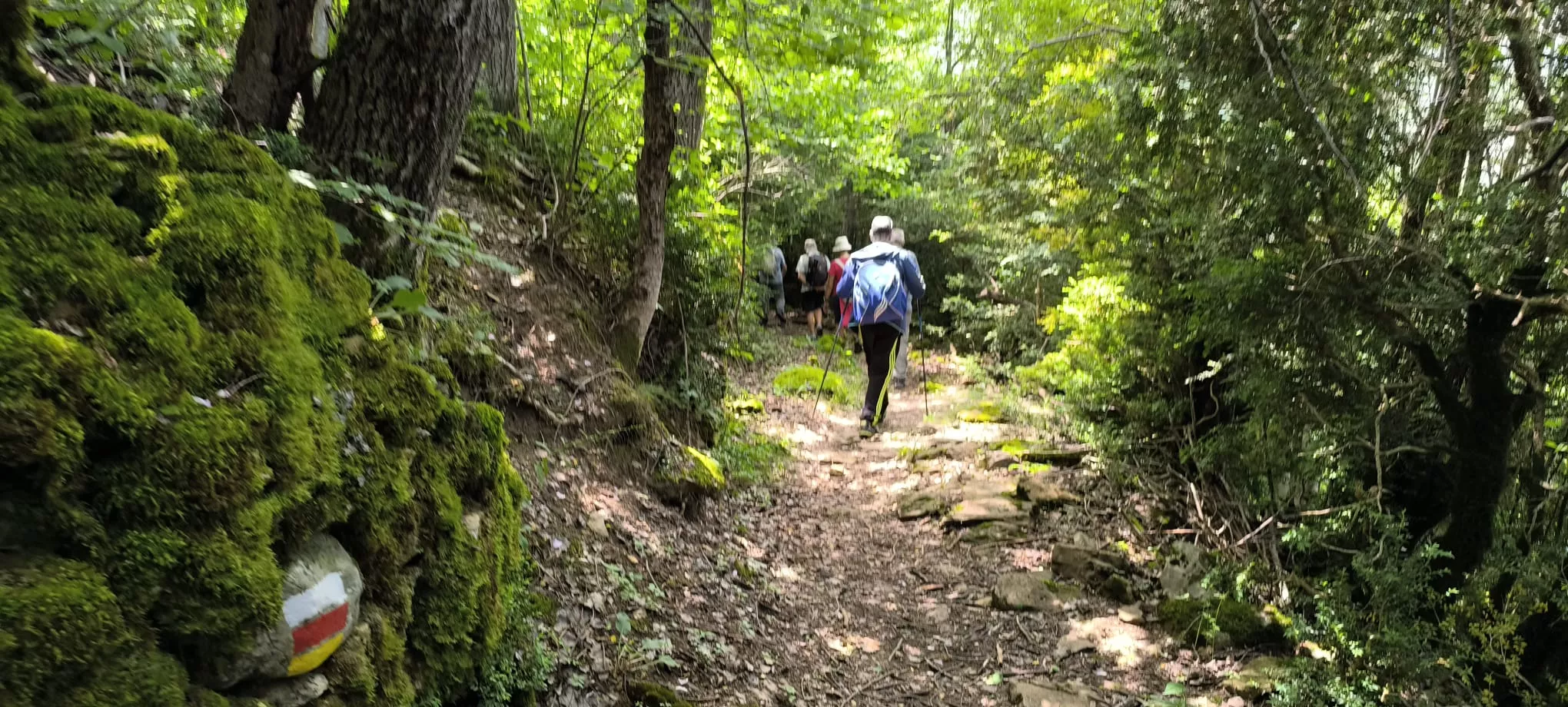 Salida de Panticosa a Búbal del programa Unizar +55. Foto Joaquín Santafé