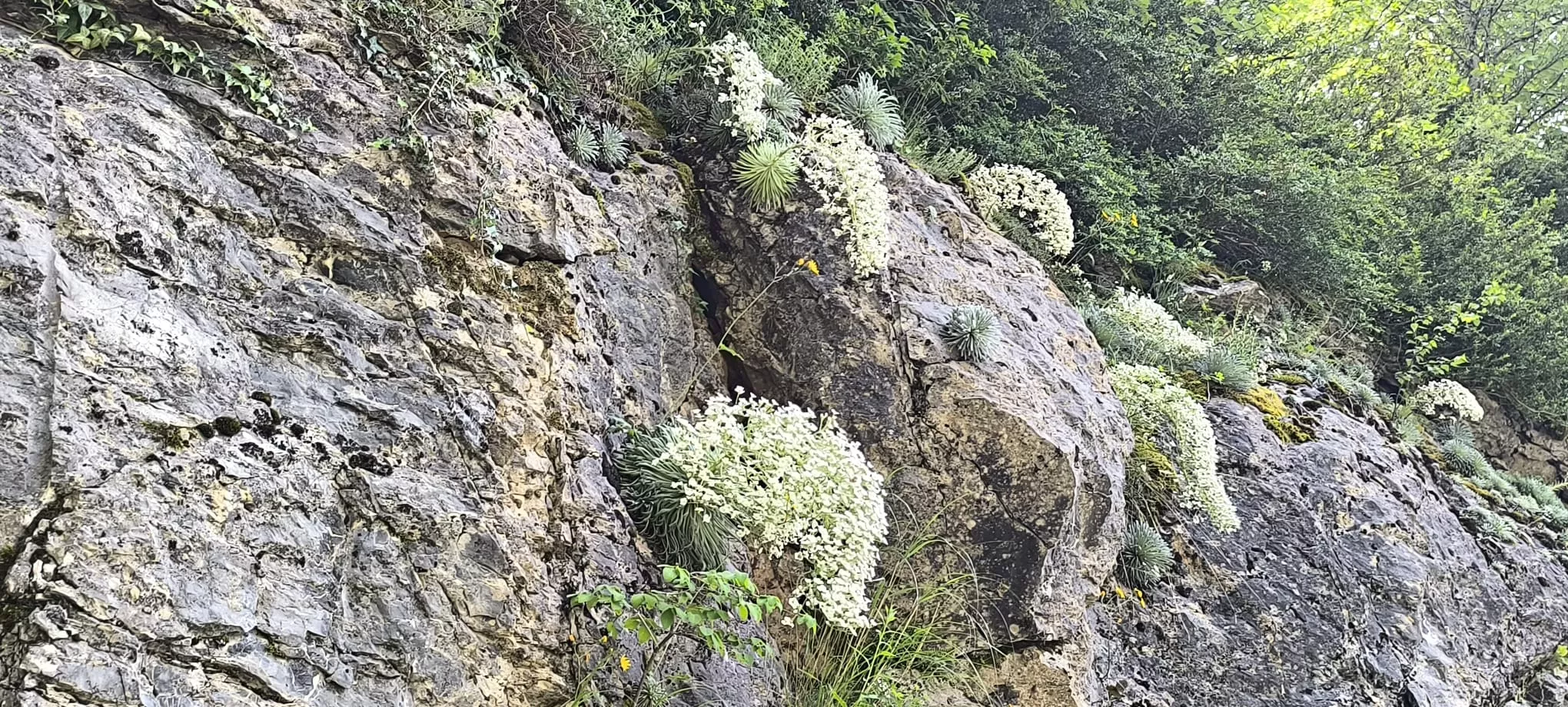 Salida de Panticosa a Búbal del programa Unizar +55. Foto Joaquín Santafé