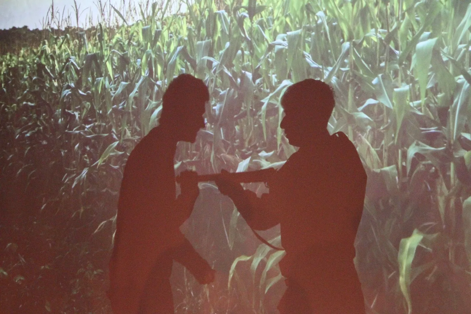 Grupo del Campus de Huesca en la Muestra Joven de Teatro y Danza. Foto Carlos Neofato