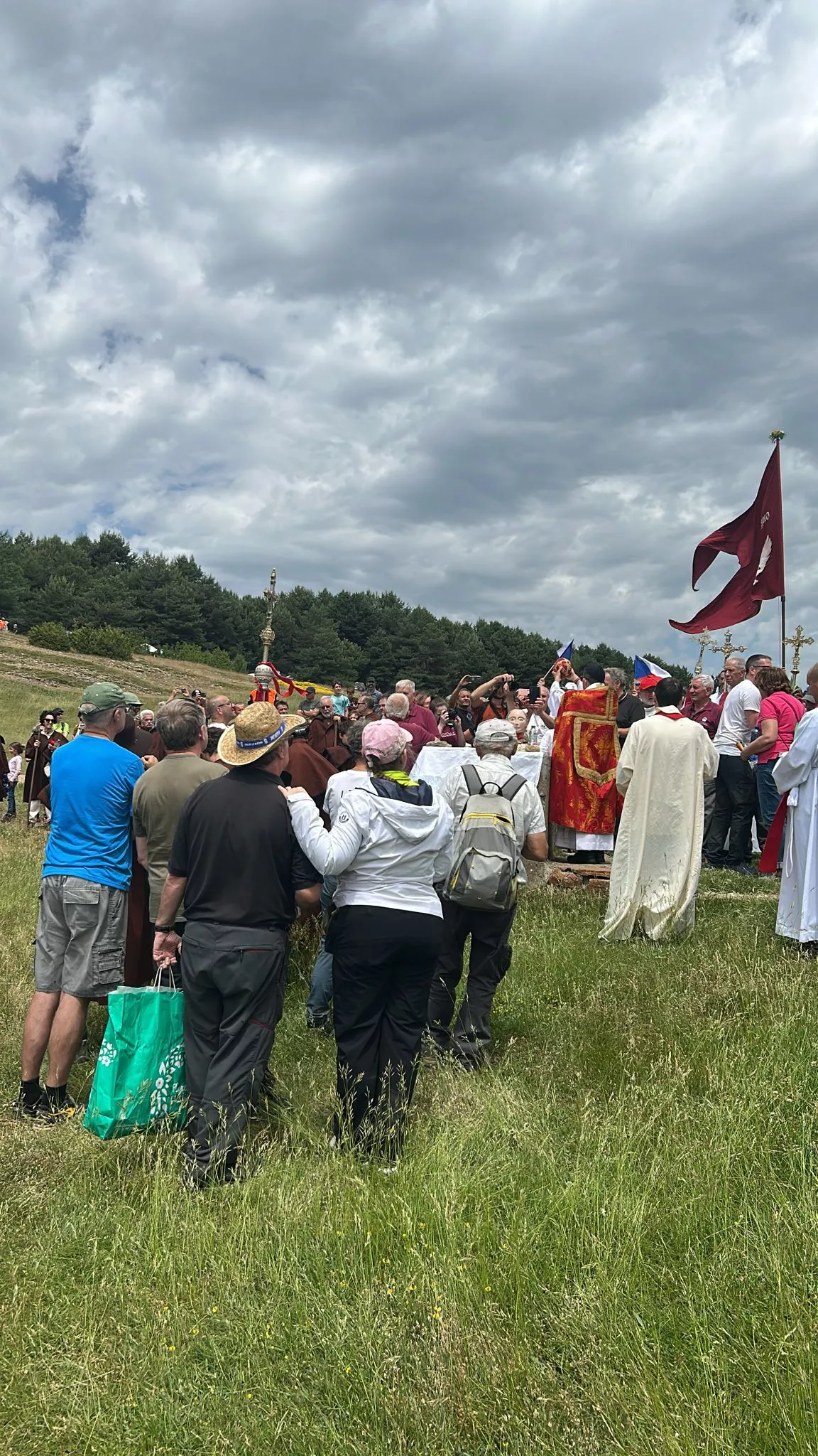 Romería de Santa Orosia en Yebra de Basa.