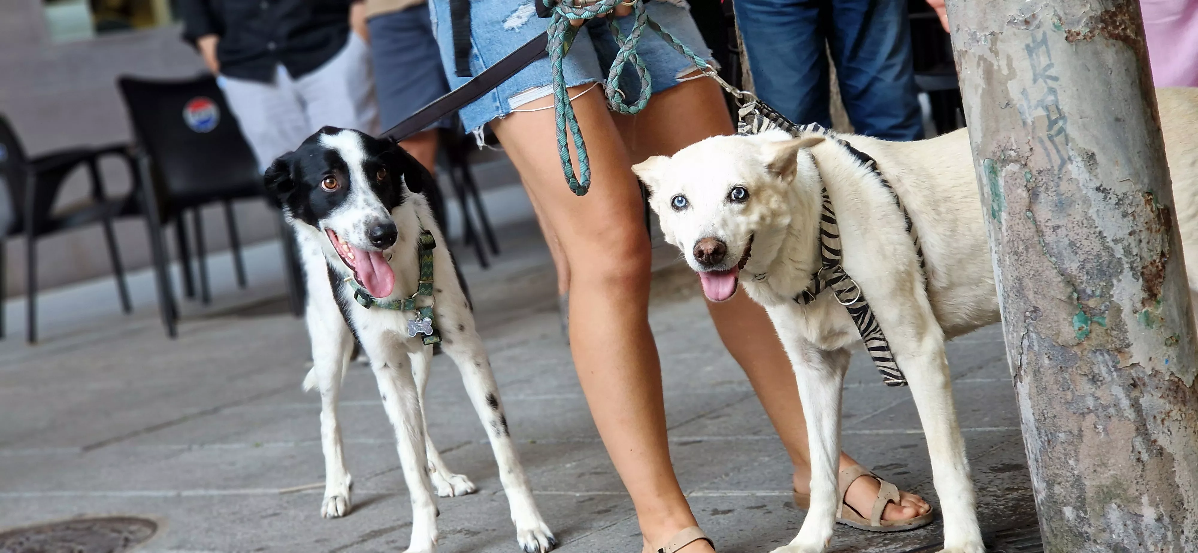Día del Orgullo LGTBIQA+ en Huesca. Foto Myriam Martínez