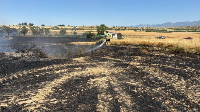 Un efectivo de los bomberos en el campo Un efectivo de los bomberos en el campo