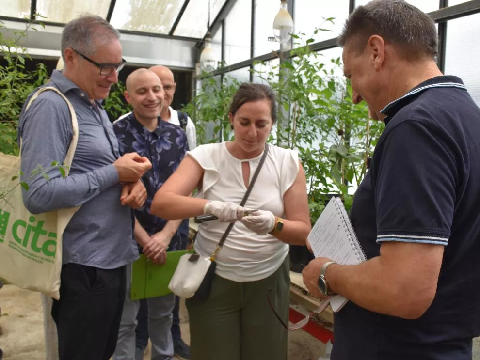 Cocineros oscenses en el Cita
