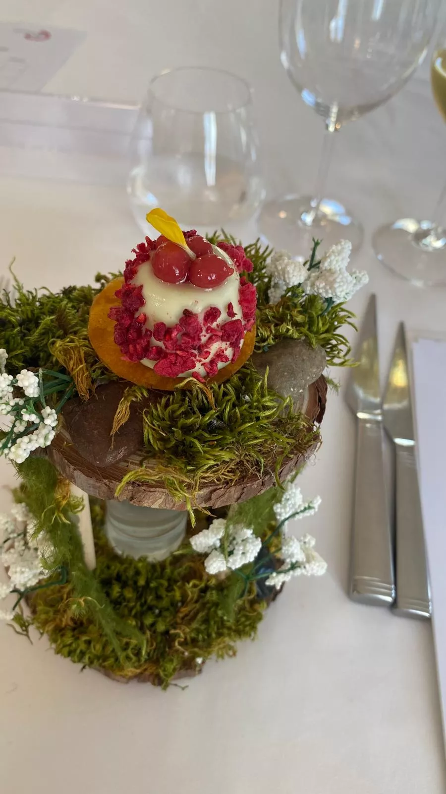 Concurso Tapas de 10 en Viñas del Vero