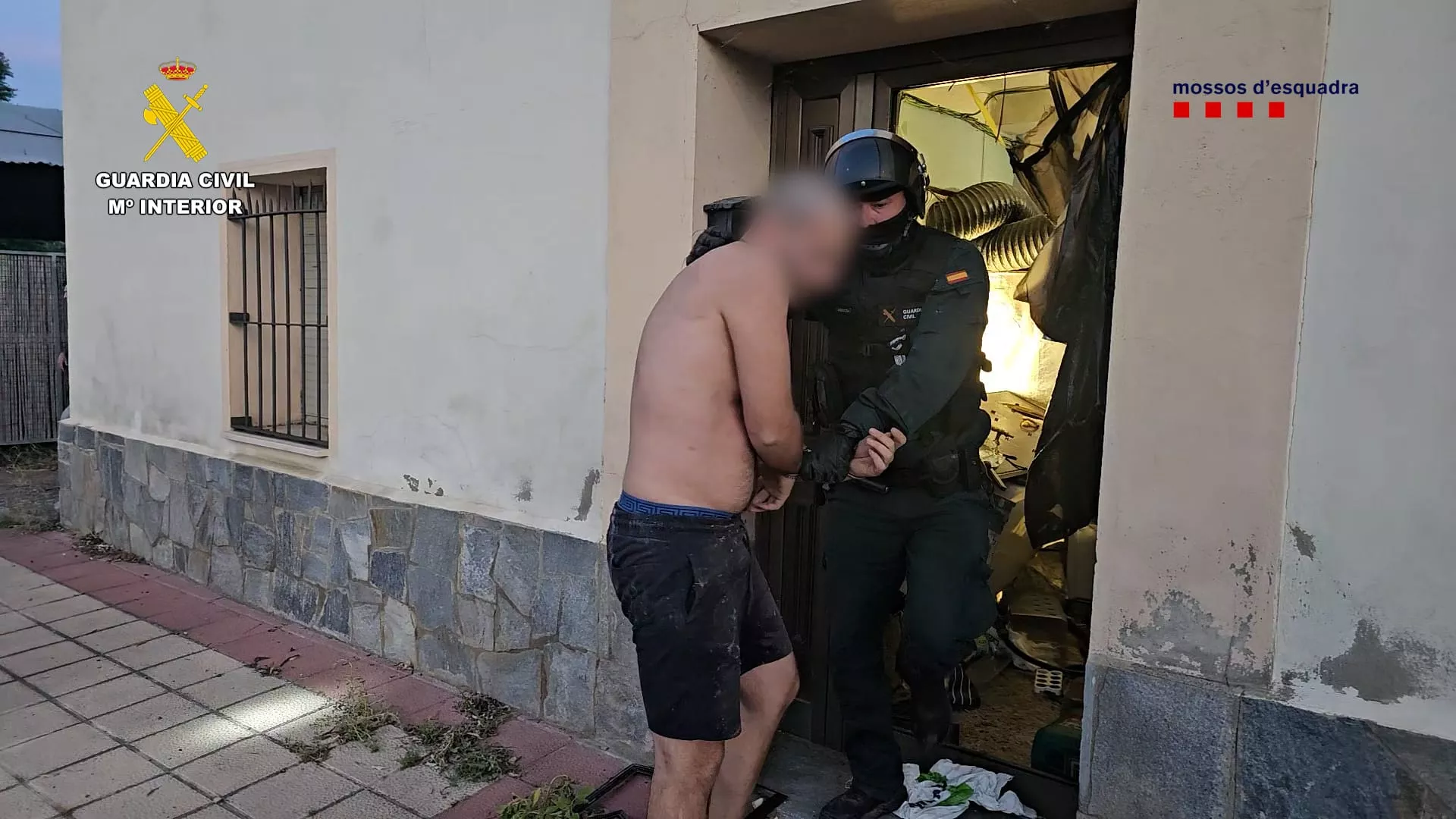 Momento de la detención. Quince detenidos por una red de cultivo indoor de cannabis desmantelada entre Huesca y Cataluña Momento de la detención. Quince detenidos por una red de cultivo indoor de cannabis desmantelada entre Huesca y Cataluña