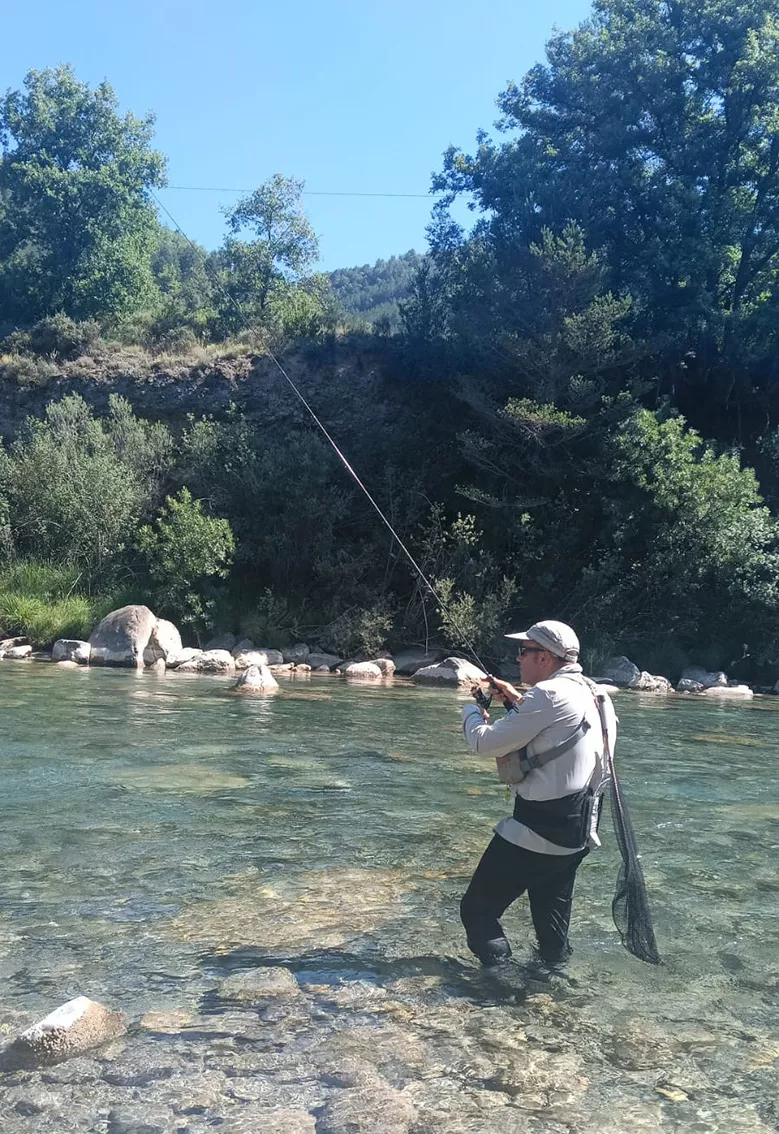 Marcos Gerique, sexto