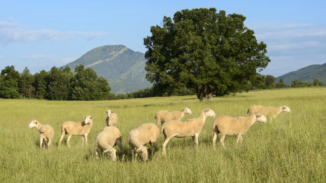 montaje final montaje final