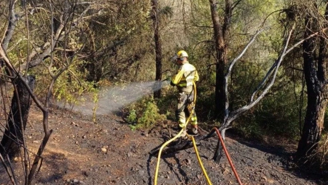 Imagen de WhatsApp 2025 07 04 a las 19.34.48 d1e7e2b6 Imagen de WhatsApp 2025 07 04 a las 19.34.48 d1e7e2b6