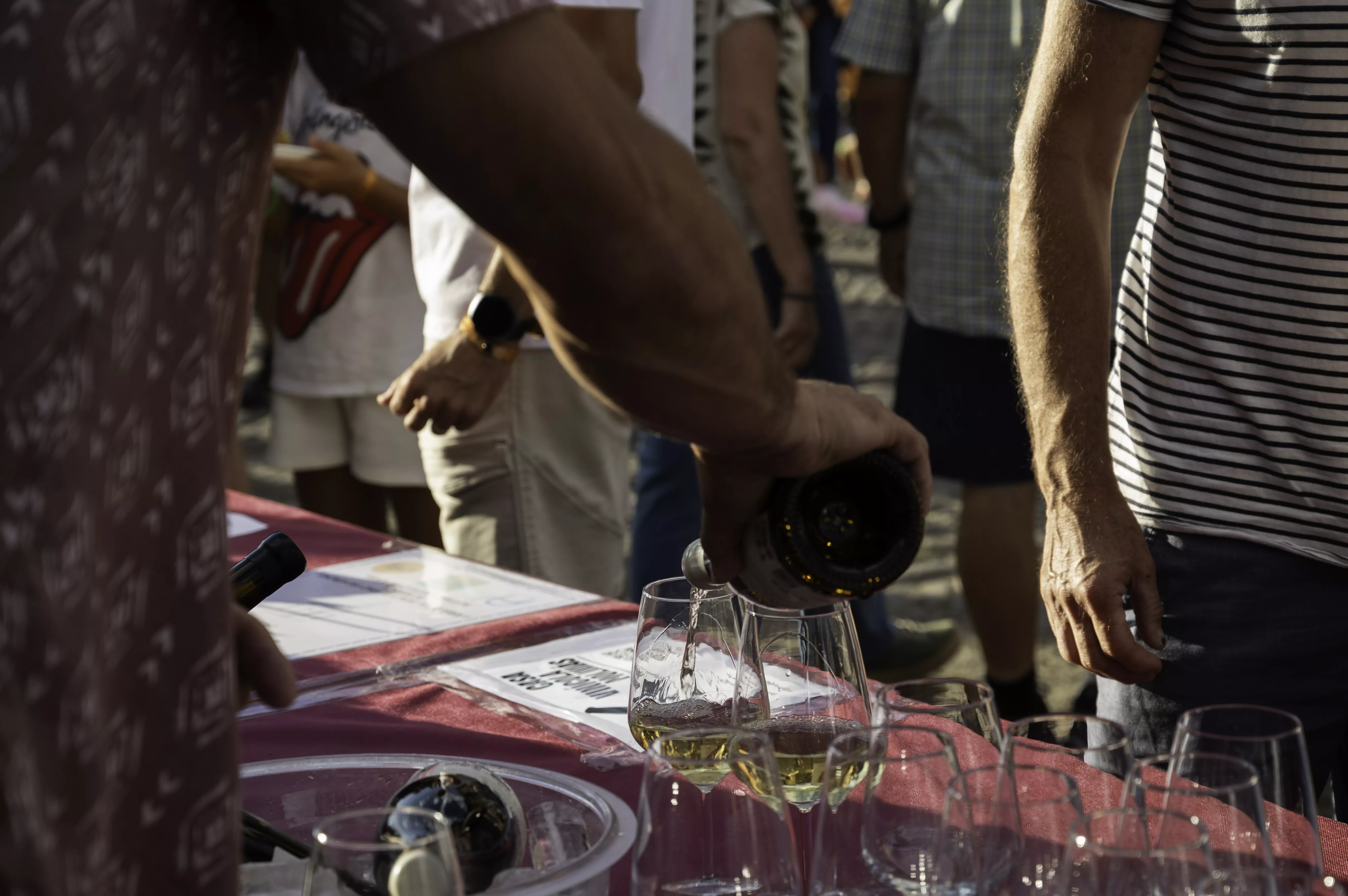 Maridaje entre Vignerons y la música de Alaín Pérez en el Castillo de Aínsa