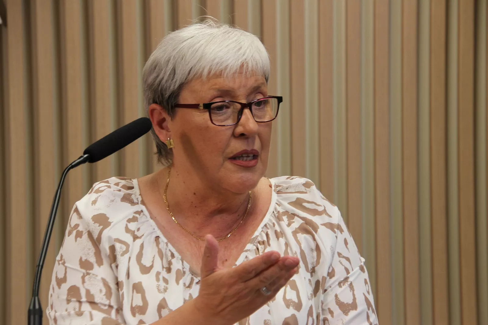 Presentación del  I Salón Auto Moto Classic de Ayerbe. Foto Carlos Neofato