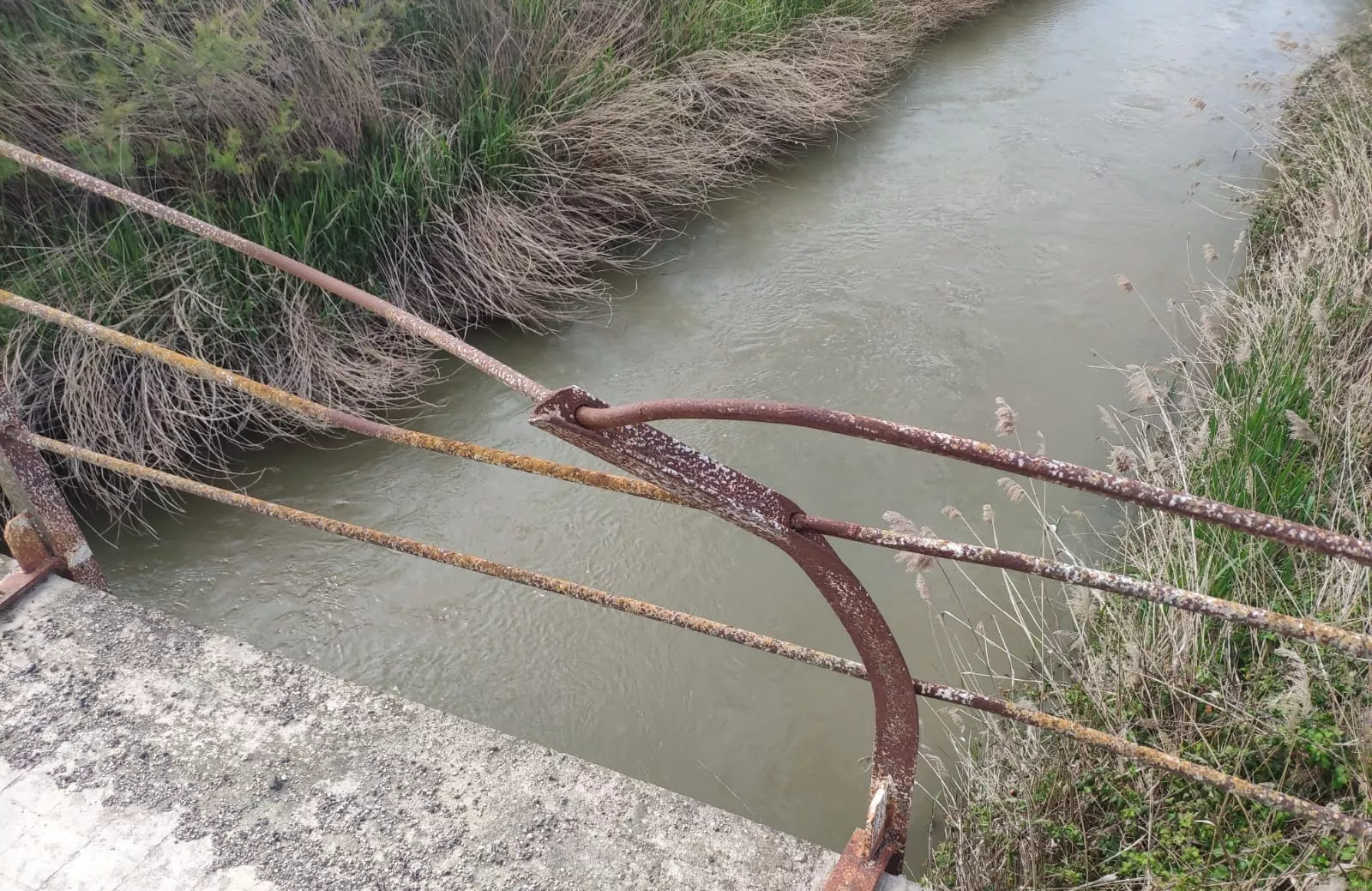 Puente sobre el Isuela de Albalatillo.