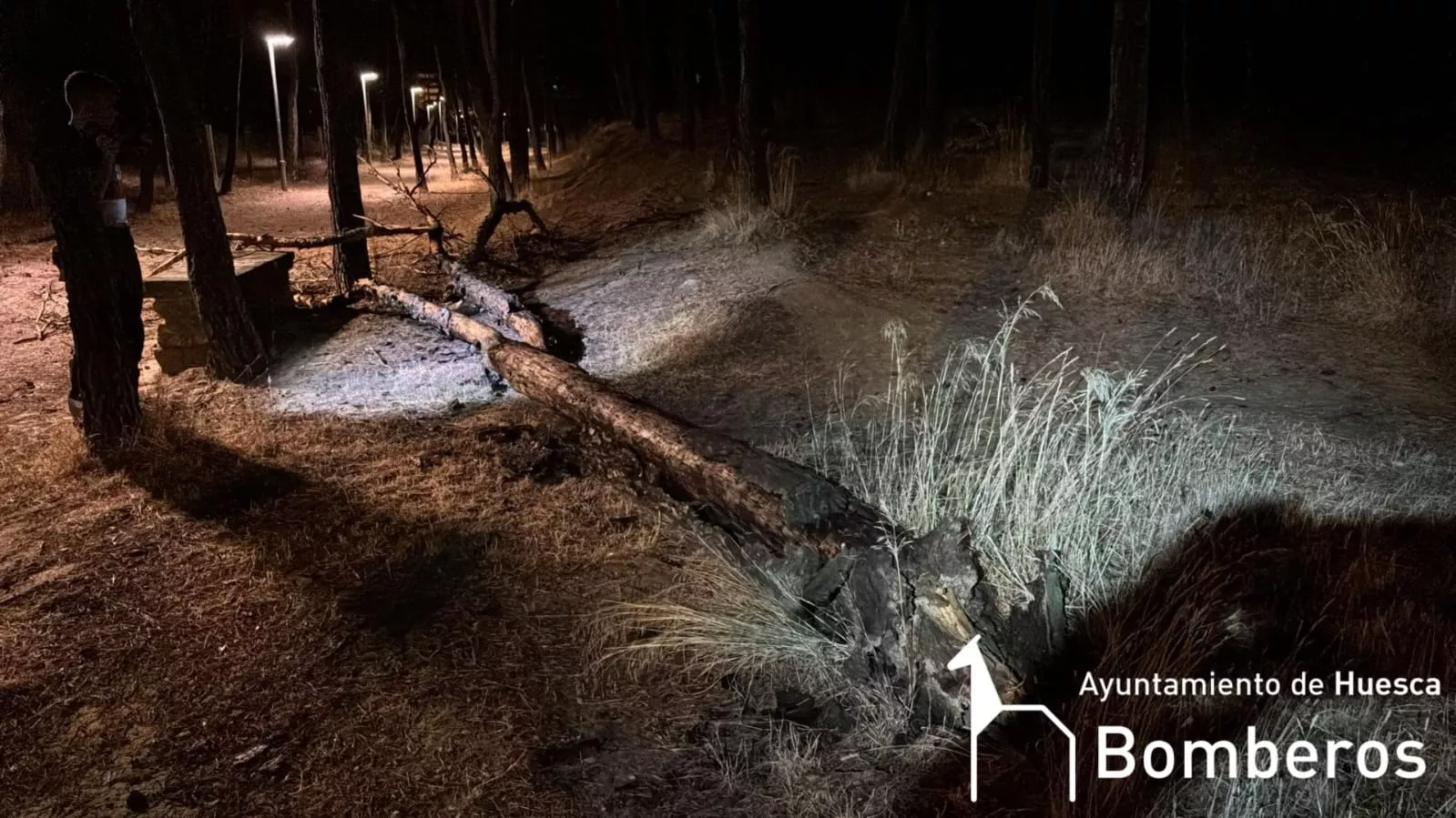 Efectos de la tormenta caída este domingo en Huesca.