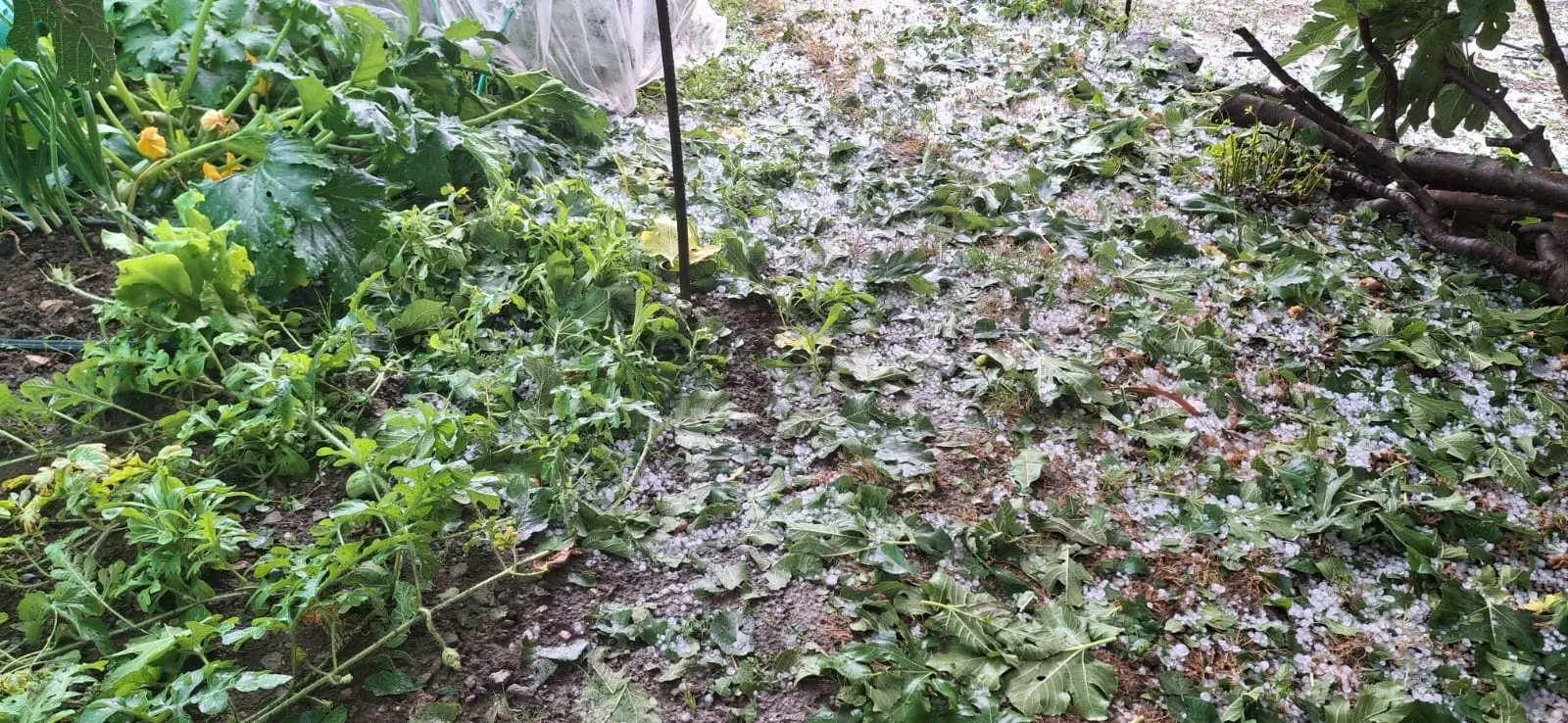 Granizada en Lecina.