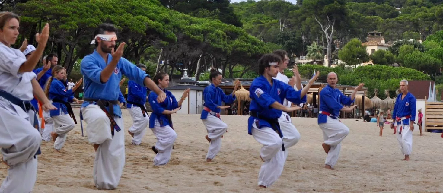 Carrasco dirige un 'stage' internacional de nanbudo en Platja d'Aro