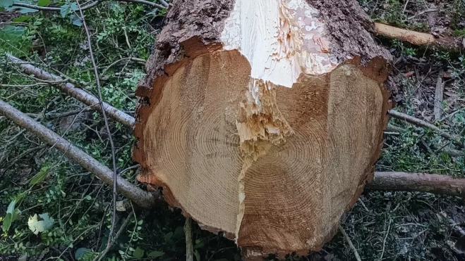 Imagen de WhatsApp 2025 07 30 a las 22.01.53 d5467b38