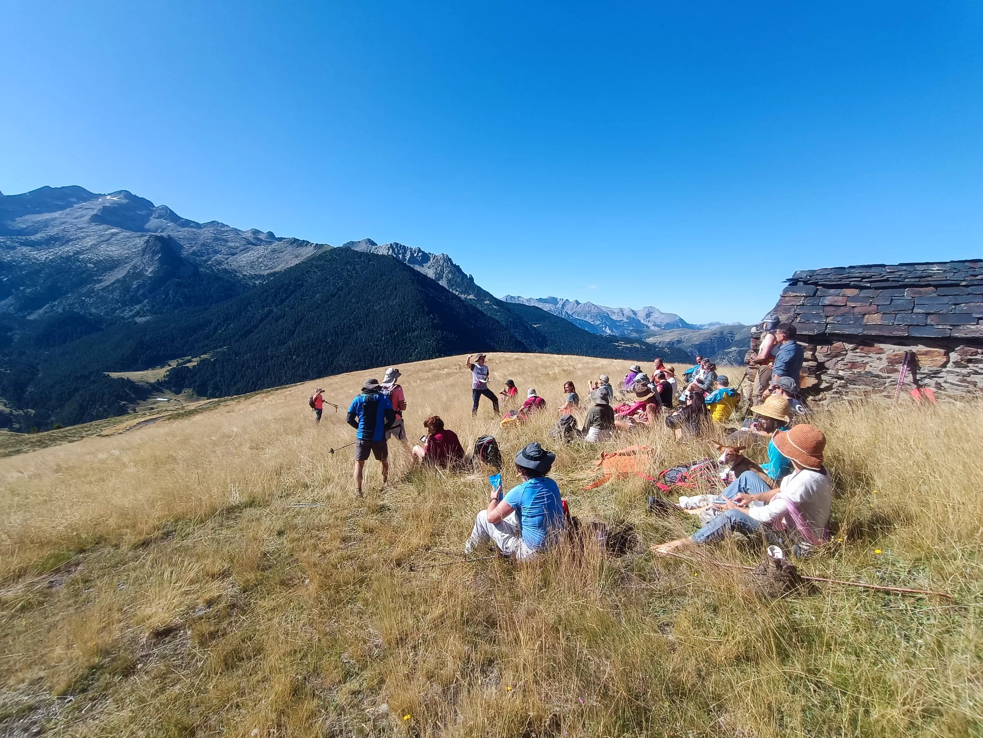 Flora Alta Montaña. CMNabain