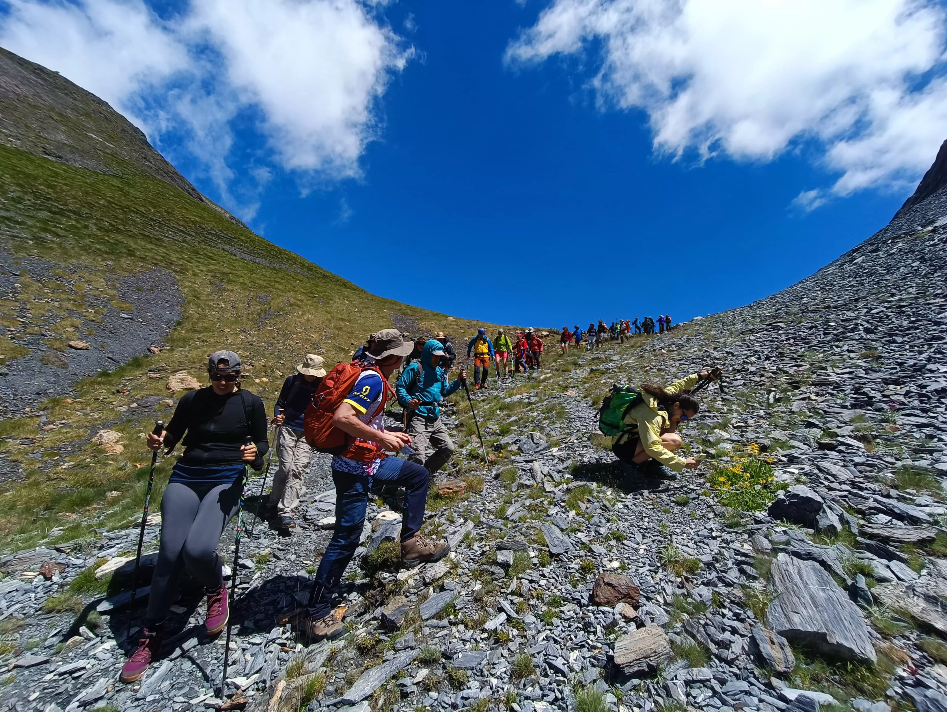 Flora Alta Montaña. CMNabain