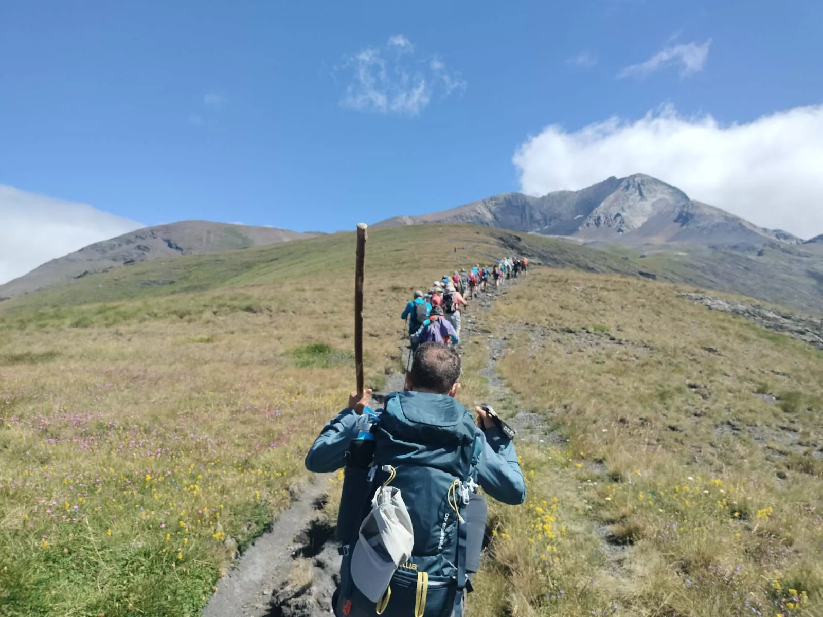 Flora Alta Montaña. CMNabain