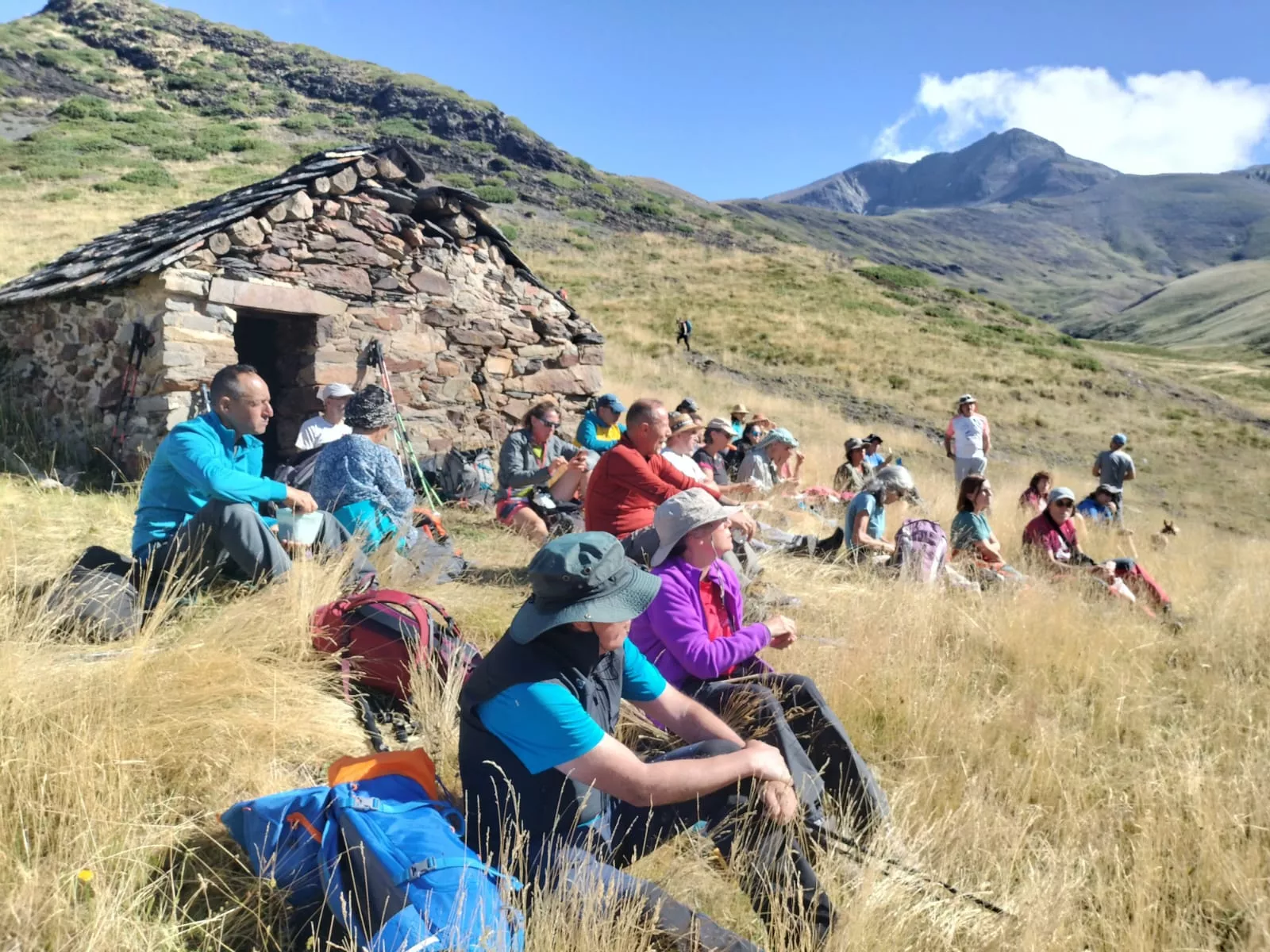 Flora Alta Montaña. CMNabain