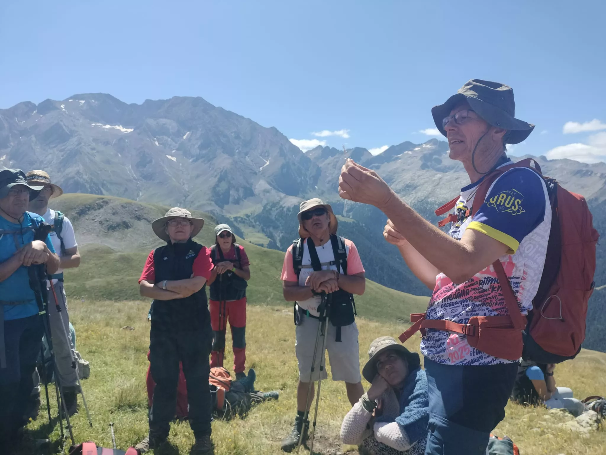 Flora Alta Montaña. CMNabain