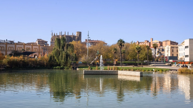 NW0A9231 (002) NW0A9231 (002)