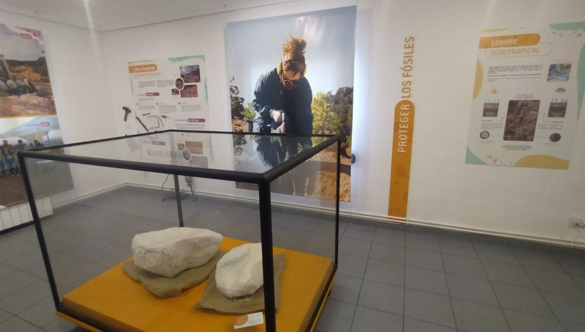 Abre el Laboratorio Paleontológico de Loarre